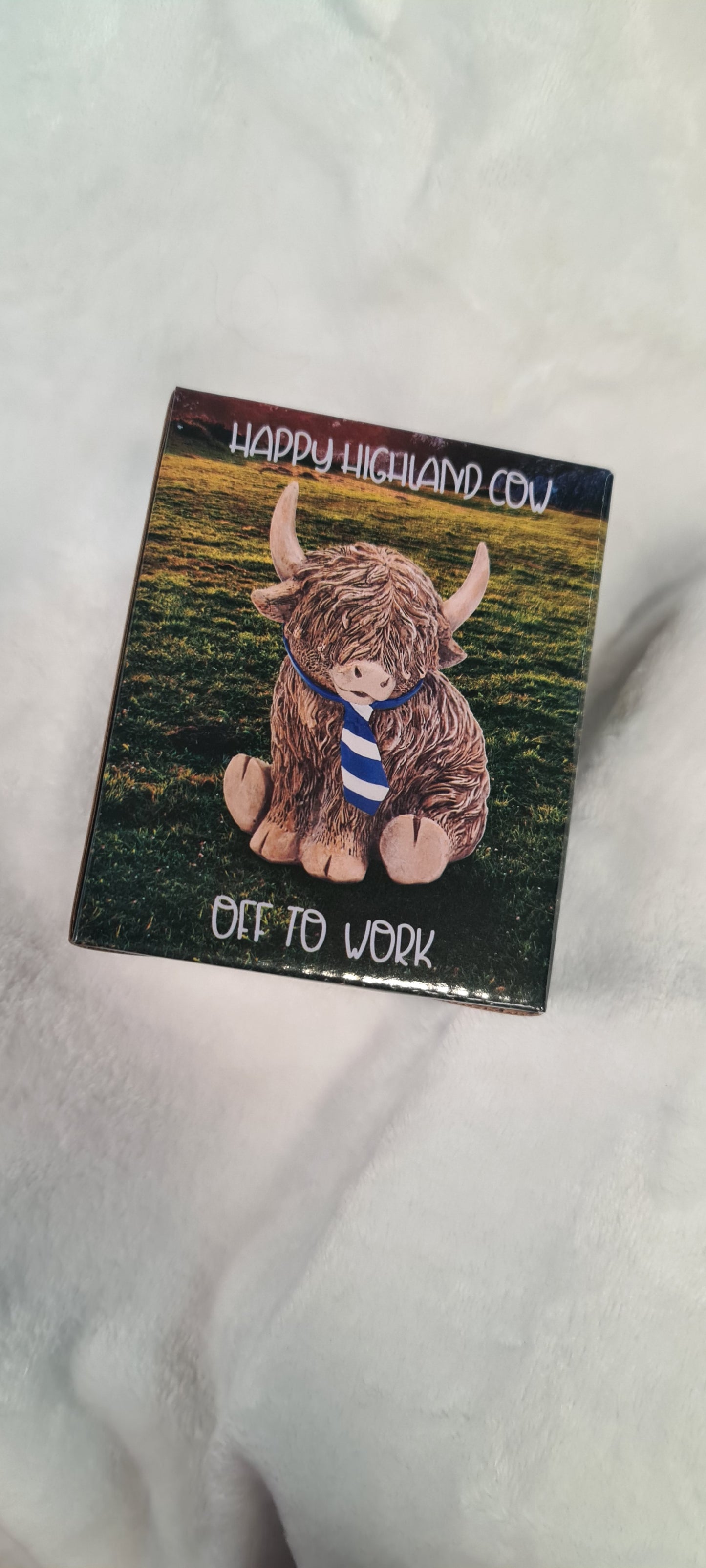 Happy Highland Cow - Off To Work