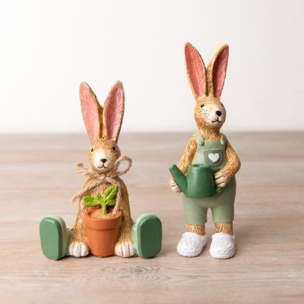 Planting Bunny