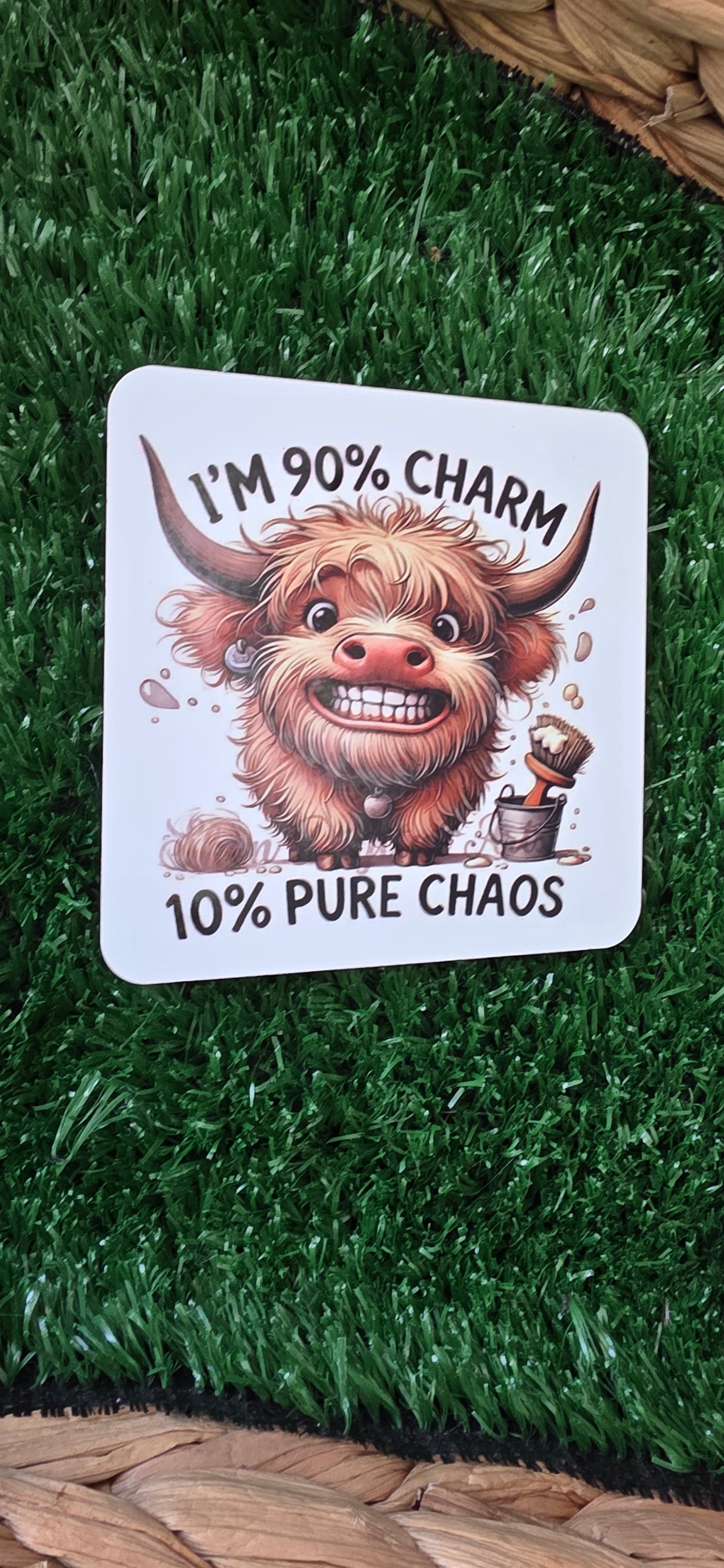 I'm 90% charm, 10% pure chaos coaster - gift