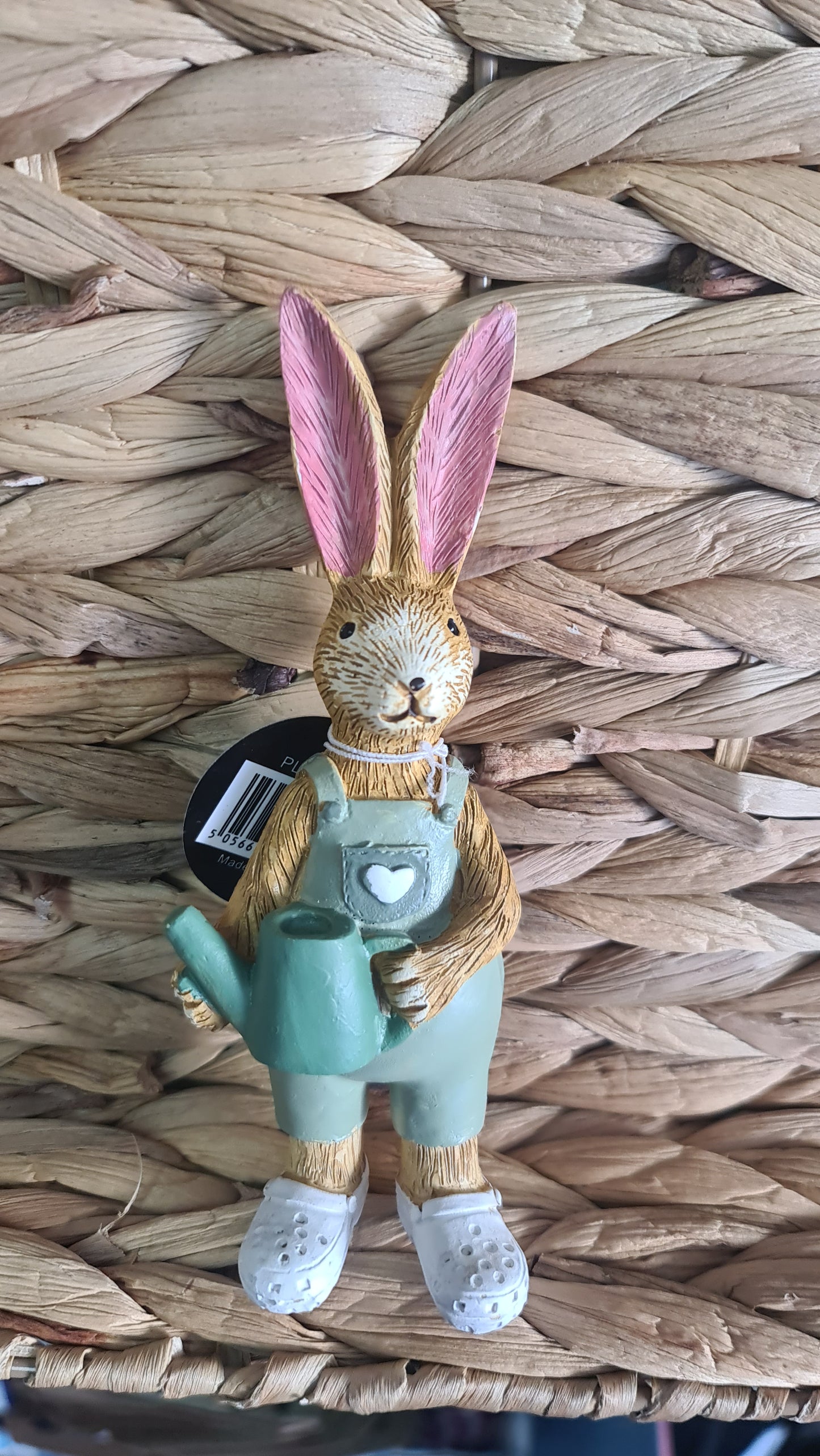 Brown standing gardening bunny