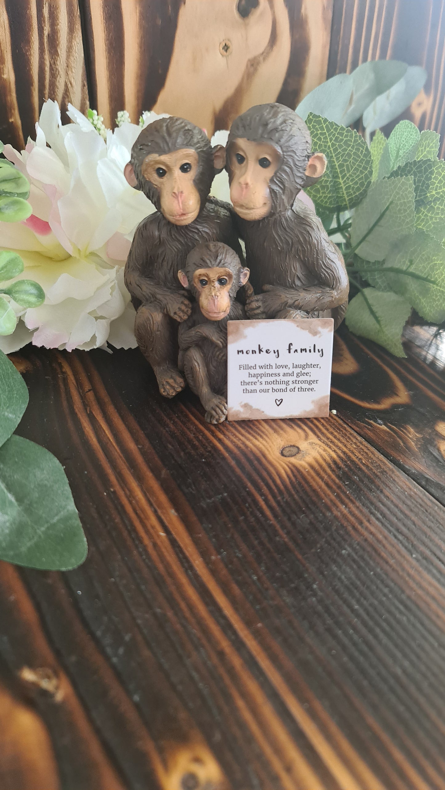 Monkeys family