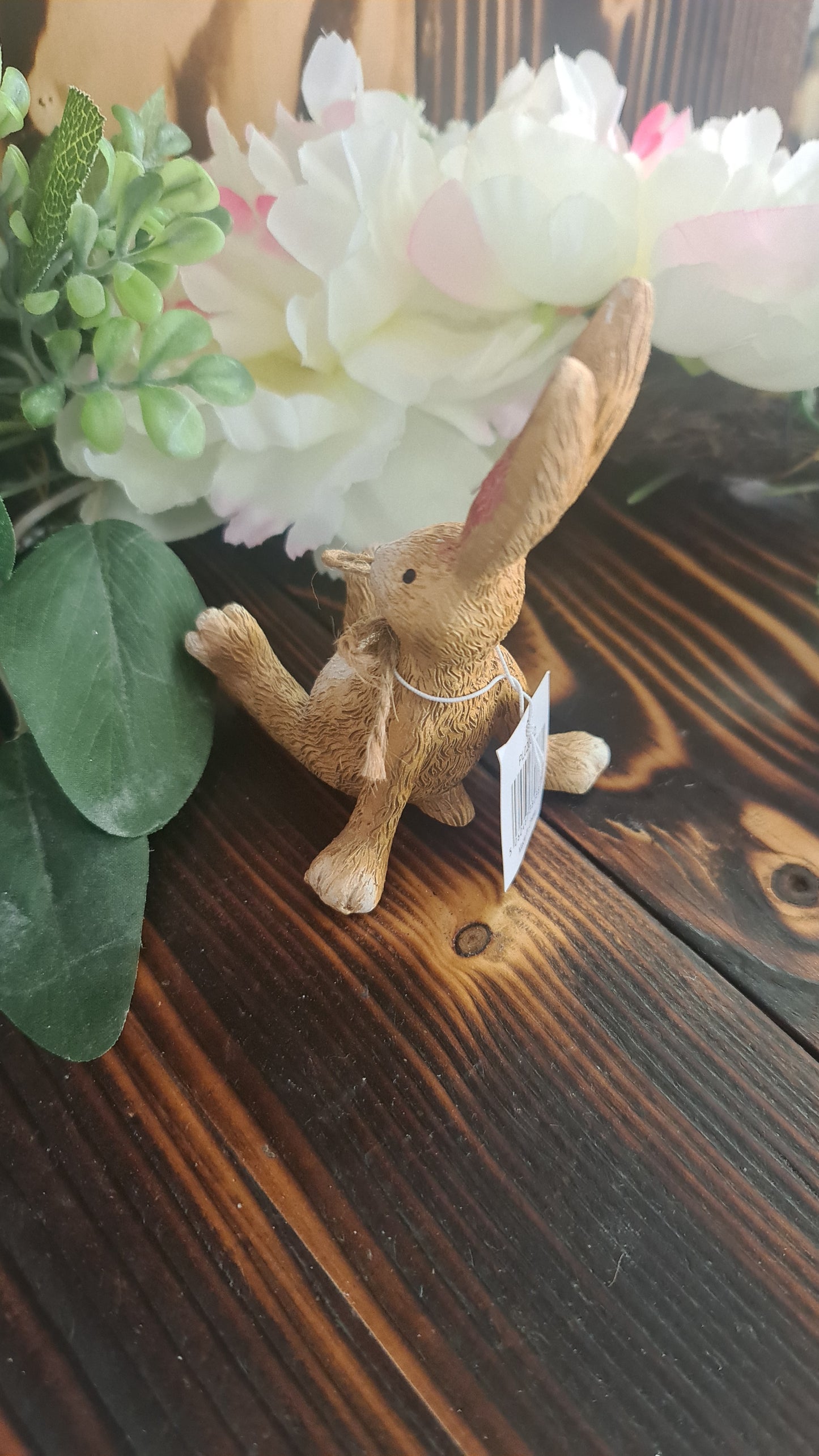 Laid back Bunny