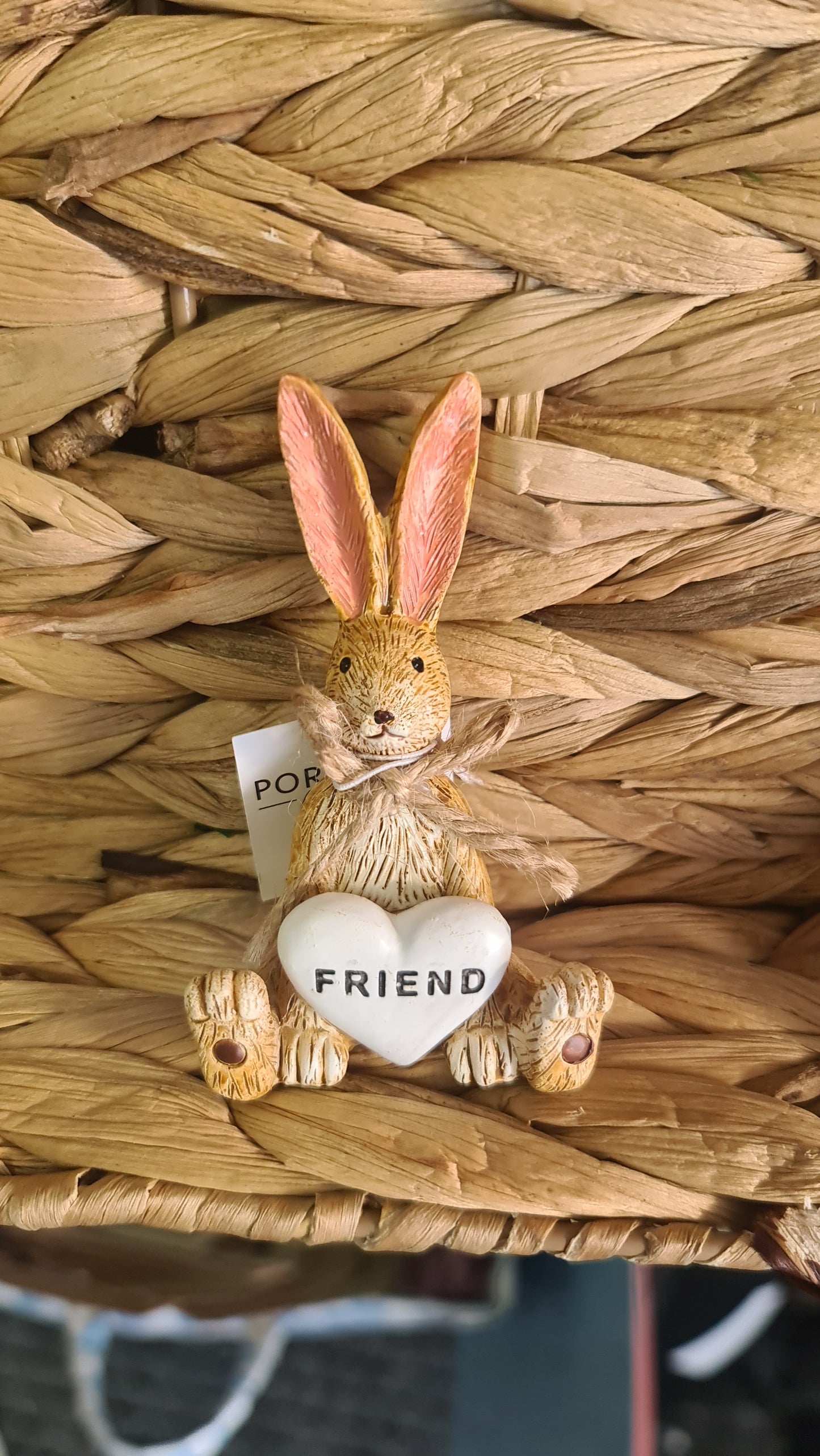 Brown sitting Friend heart bunny