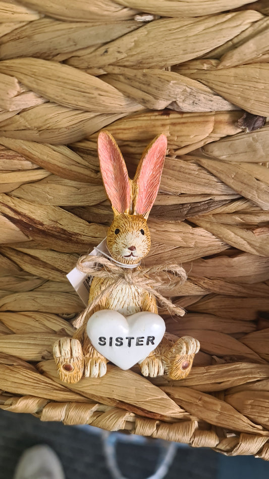 Brown sitting Sister heart bunny