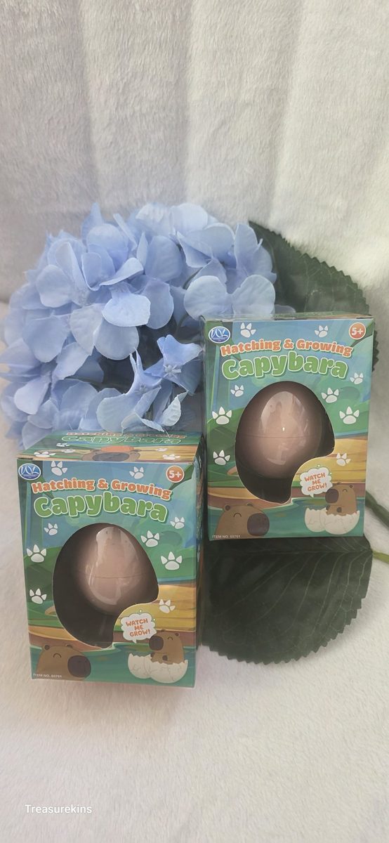 Hatch & Grow your own Capybara