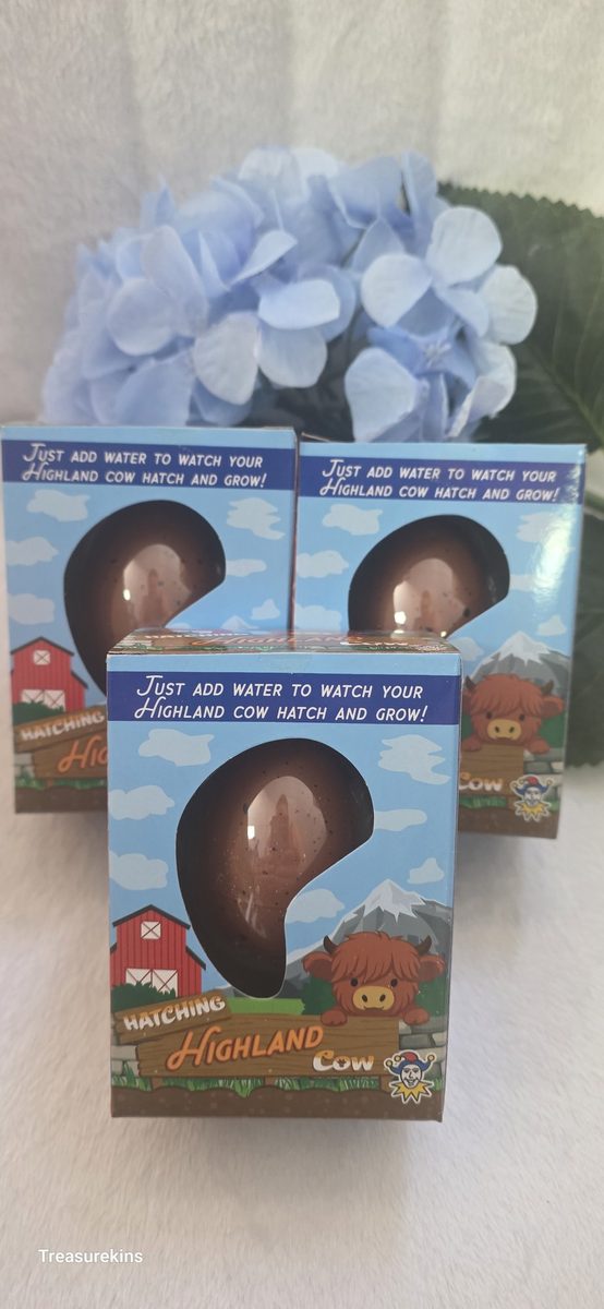 Hatch & Grow your own Highland Cow