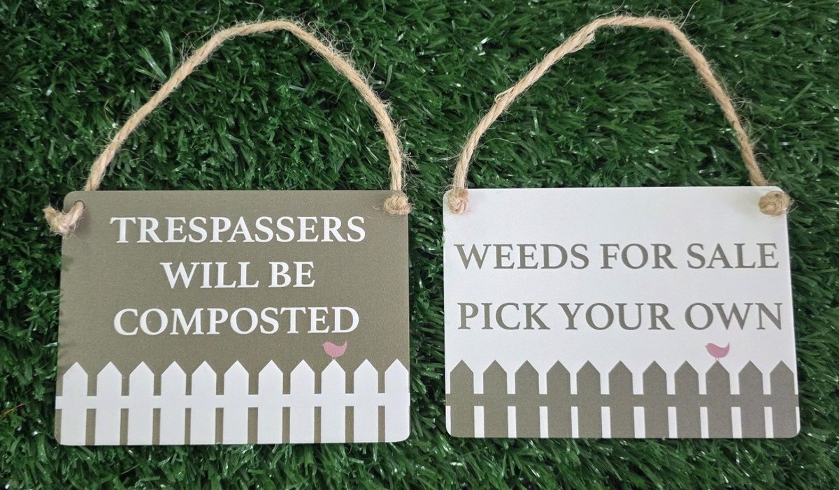 Mini Metal Hanging Plaque reading "Weeds FOR SALE pick your own"