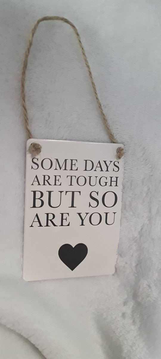 Mini Plaque -  some days are tough but so are you