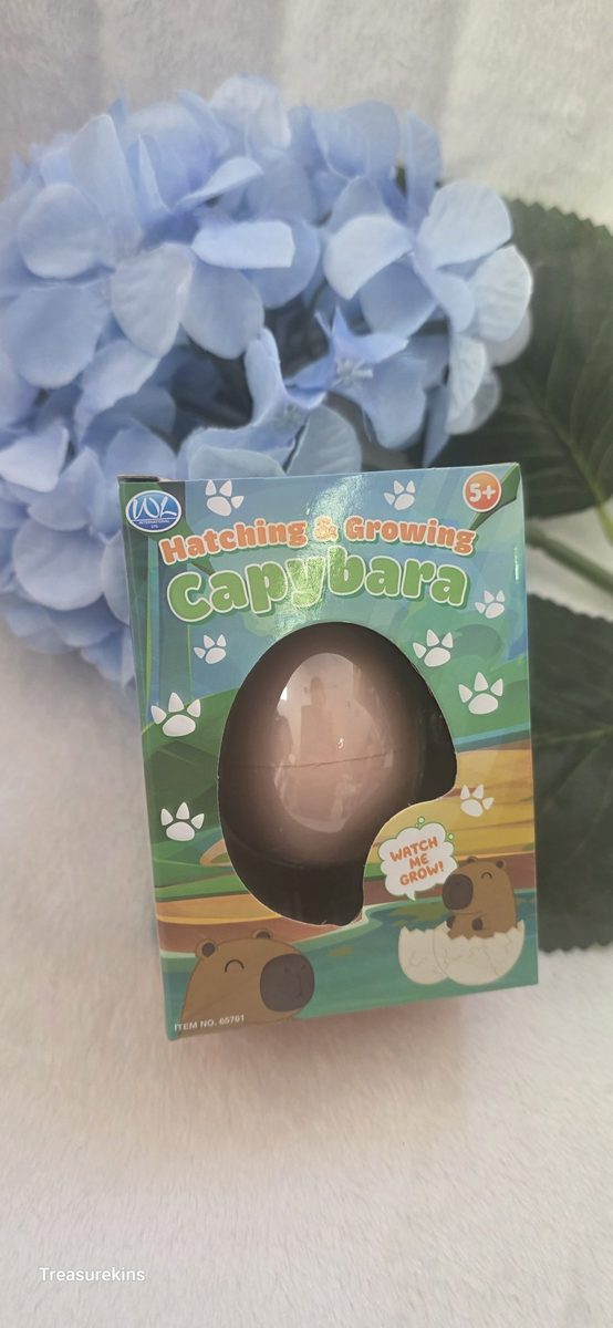 Hatch & Grow your own Capybara