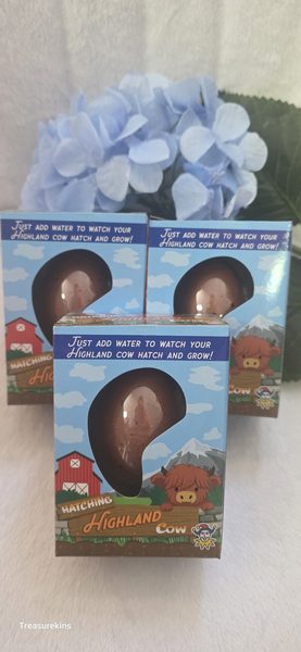 Hatch & Grow your own Highland Cow