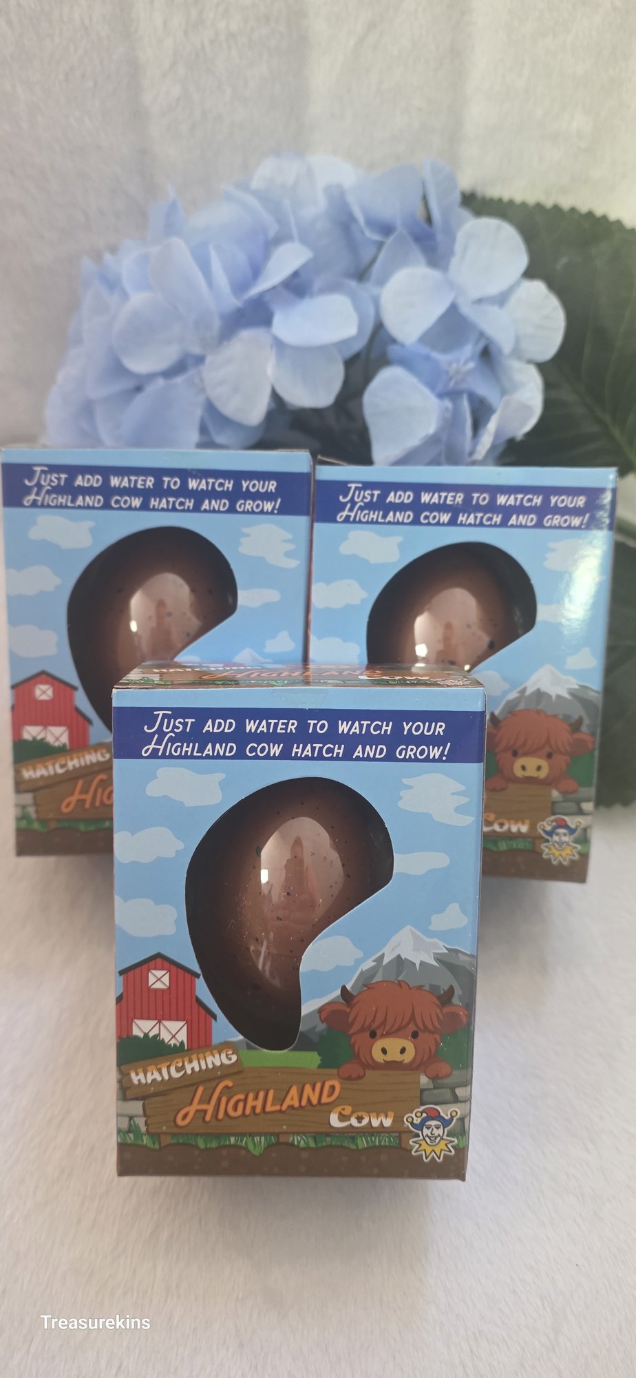 Hatch & Grow your own Highland Cow