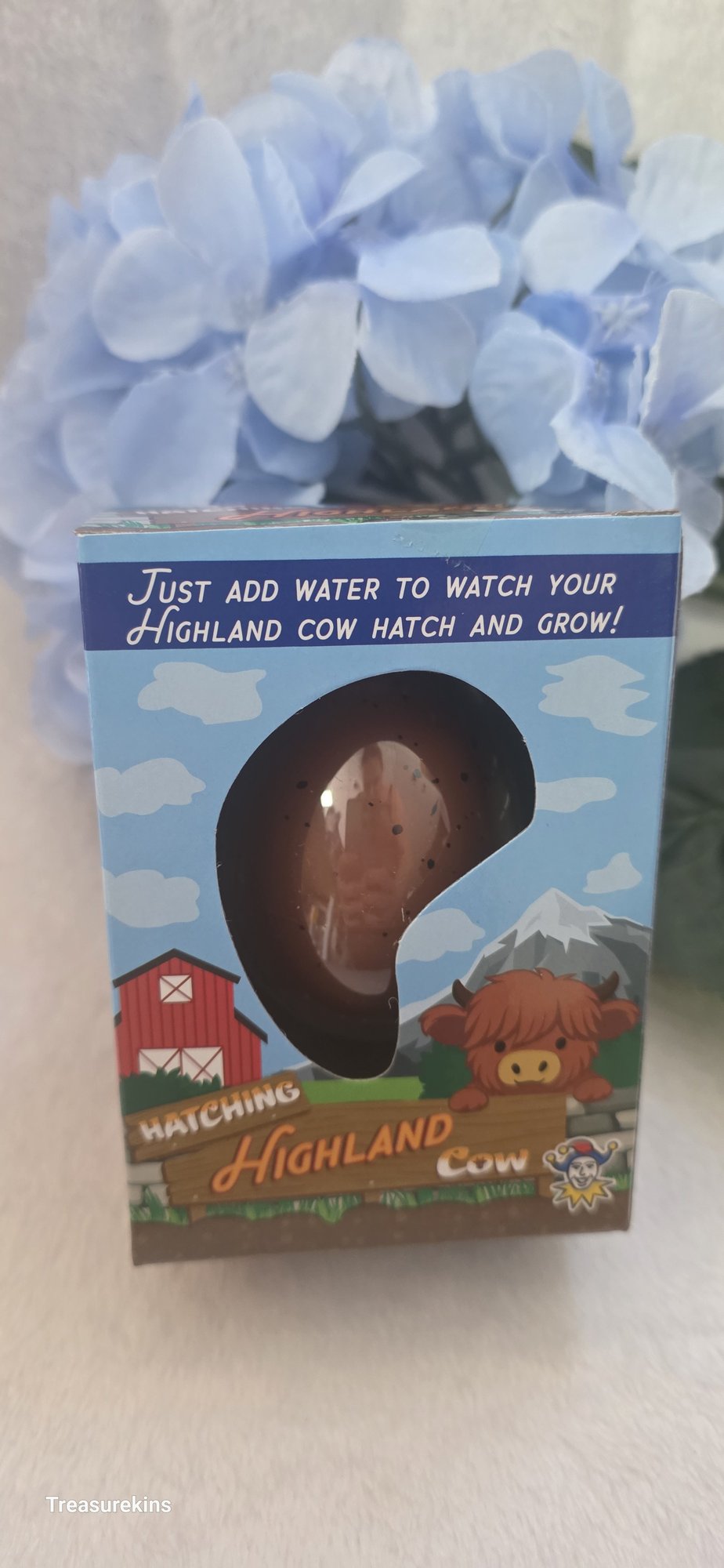 Hatch & Grow your own Highland Cow