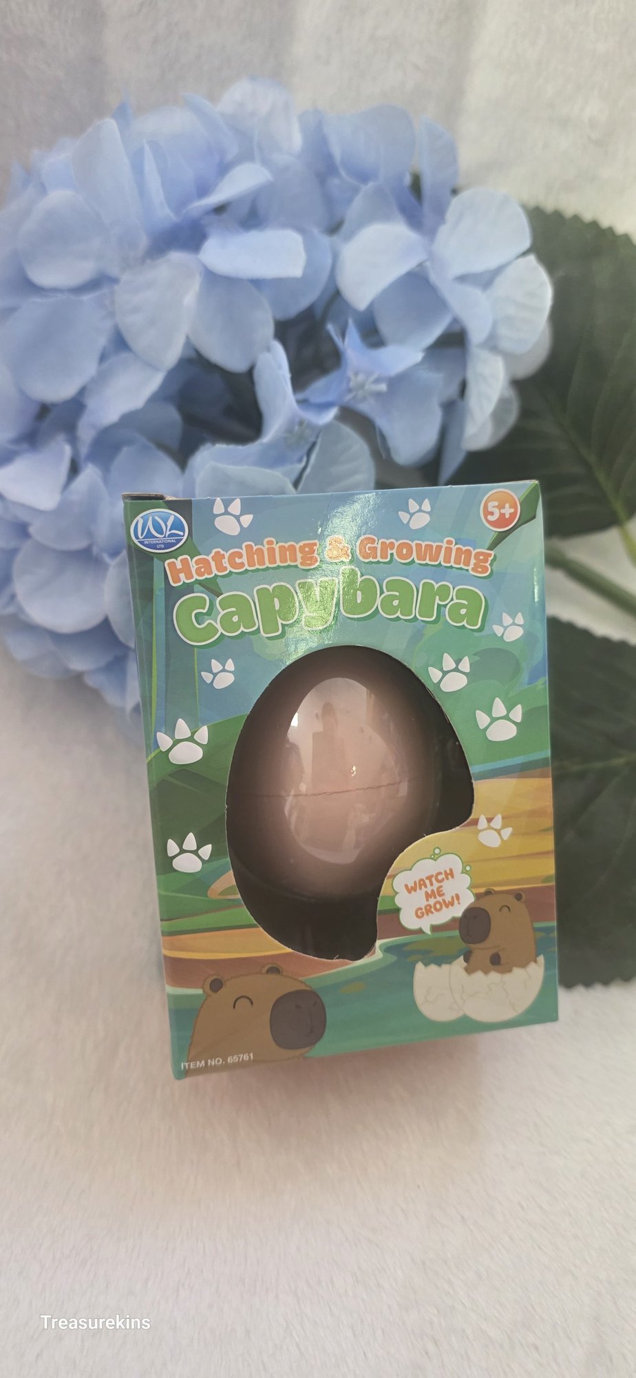Hatch & Grow your own Capybara